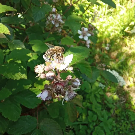 Fuchs&hase Seelbach bei Hamm