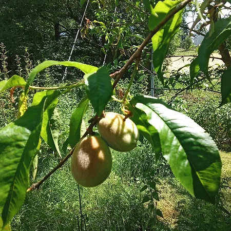 Fuchs&hase Seelbach bei Hamm