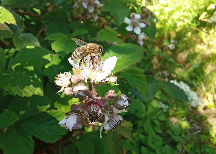 Fuchs&hase Seelbach bei Hamm