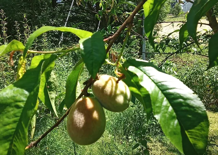 Fuchs&hase Seelbach bei Hamm